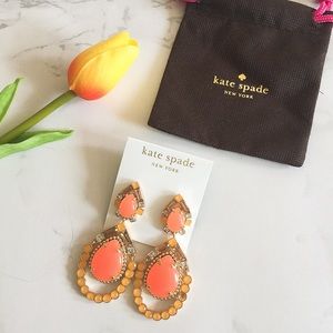🆕 NWT Kate Spade beautiful earrings